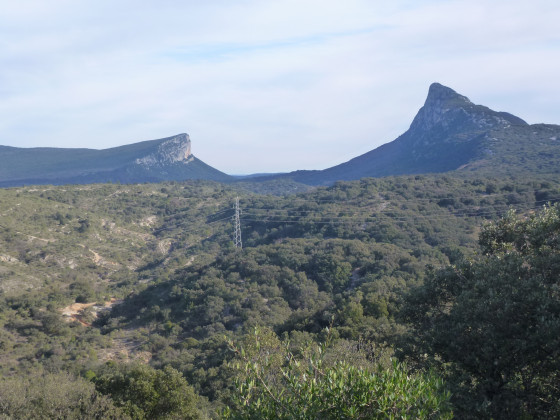 Le pic saint Loup et l\'Hortus