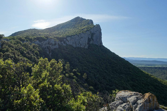 Le Pic Saint Loup