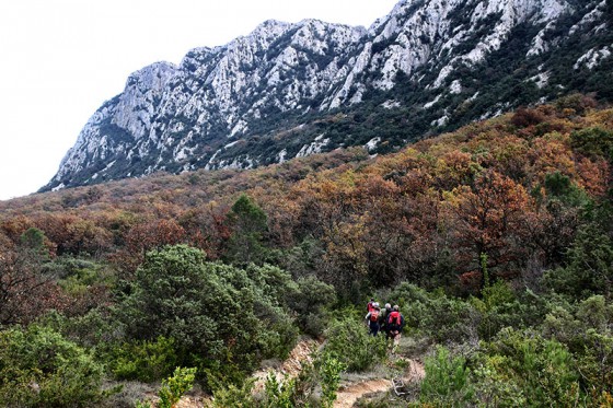 Le Pic-Saint-Loup