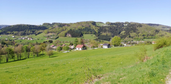 Le Pied des Ballons des Vosges