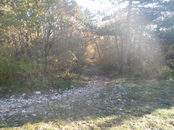 Le Plain d'Avaux