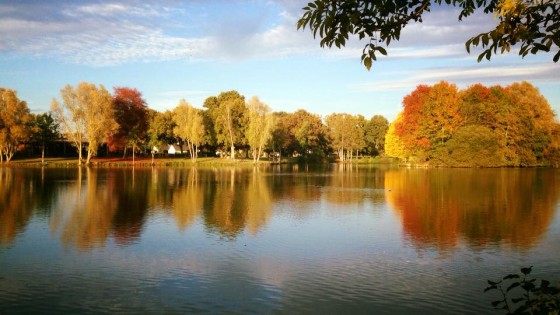 Le plan d'eau du mûrier en automne.