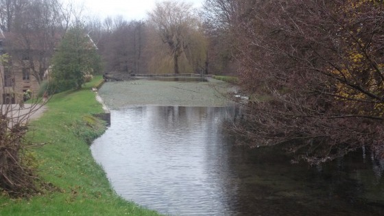 Le plan d'eau
