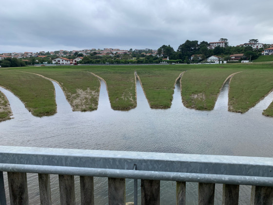Le plan d'eau