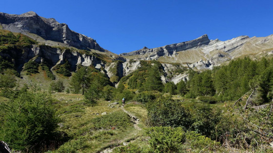 Le Planure