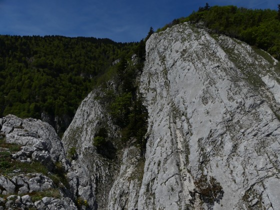 Le Plat des Roches