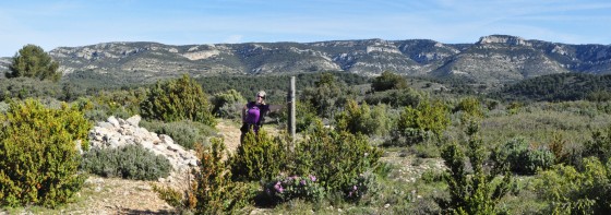 le plateau avant la Ferme des Mayorques