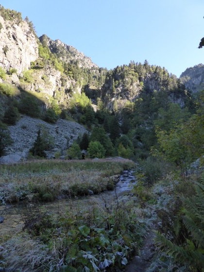Le Plateau de l\'Oursière