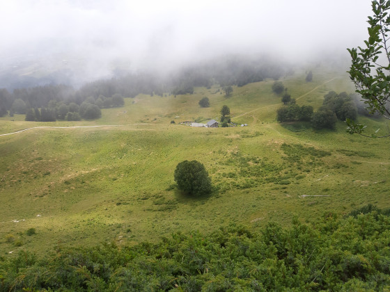 Le plateau de la Molière sous la brume