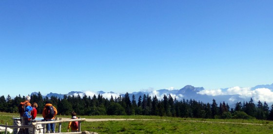 Le plateau de la Molière