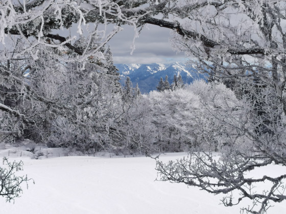 Le plateau de la molière