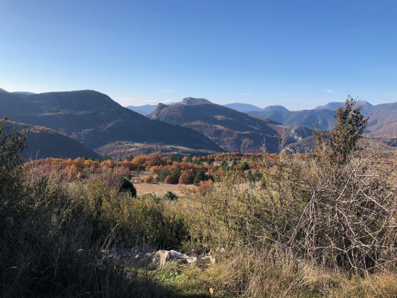 Le Plateau de St Laurent