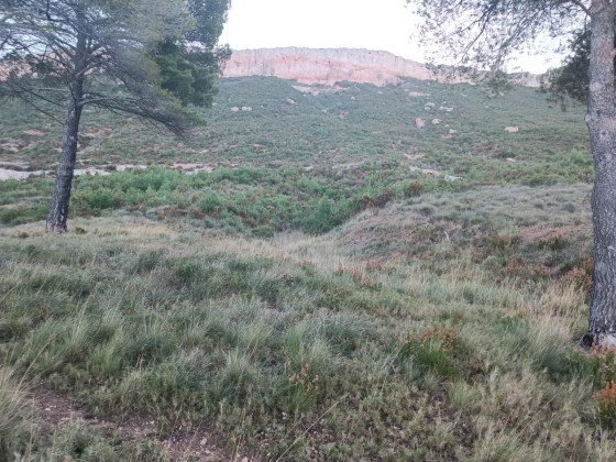 Le plateau de Vitrolles