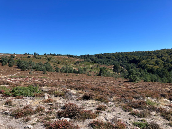 Le Plateau du Caroux