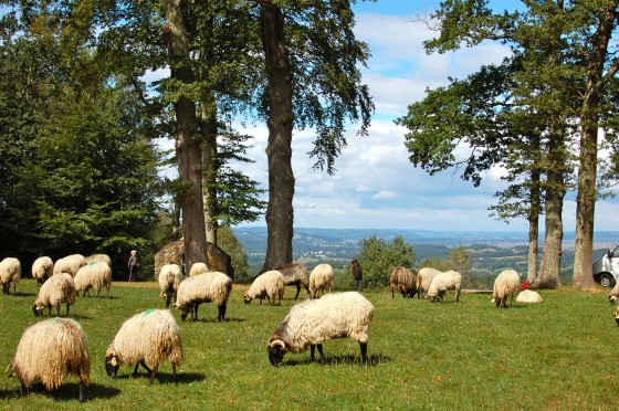 Le plateau du Mousqué