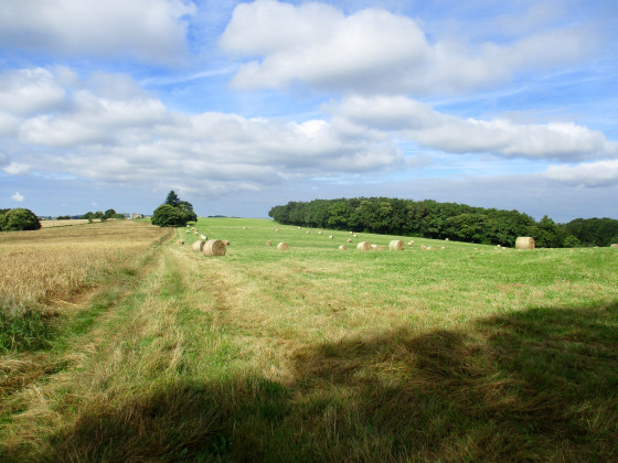 Le plateau