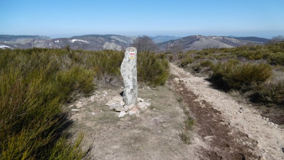 Le plateaux du Caroux