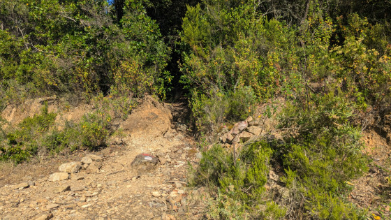 Le point de d&eacute;part de la piste