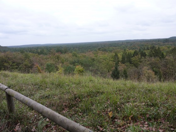 Le point de vue de l\'inspecteur.