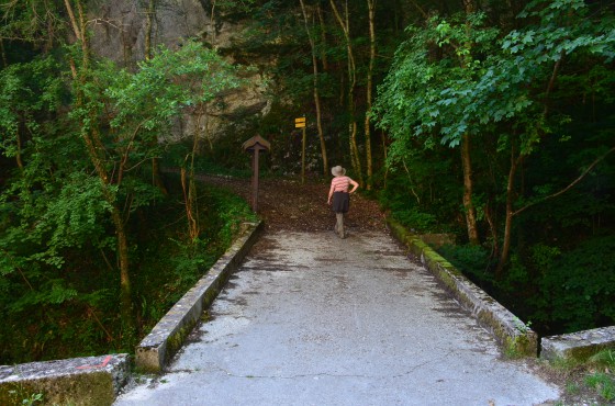Le Pont Charvet