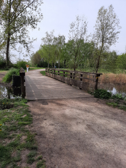 Le pont de bois