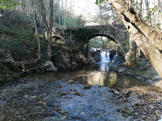 Le Pont de Cannelle sur la rivière la Ligne