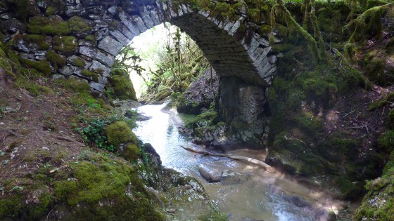 Le pont de la Pie du Dard