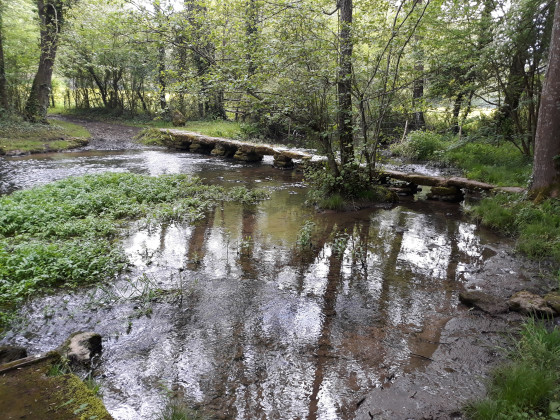 Le pont de pierre de la Roche Putet