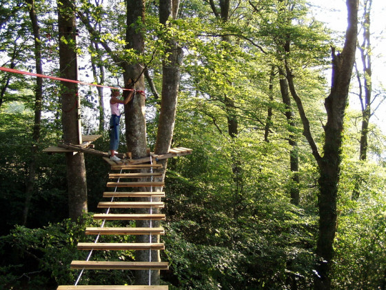 Le Pont de Singe du Parc Aventure \