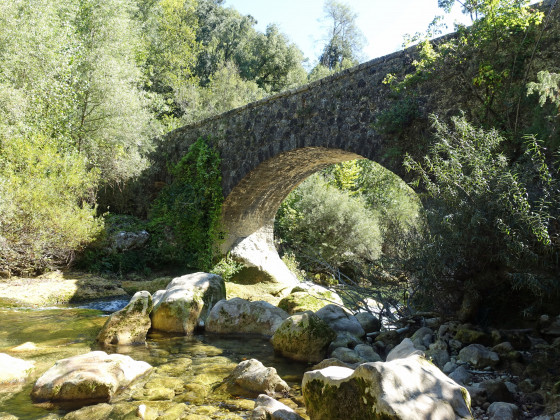 Le pont del Rey