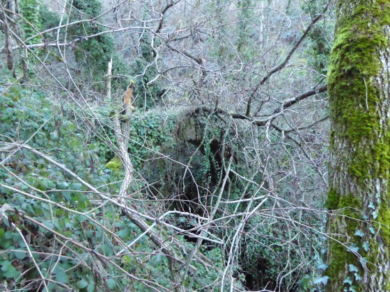 Le pont du diable