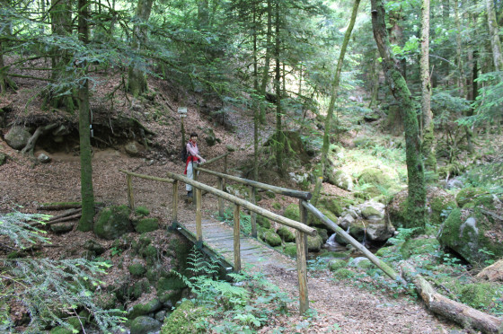 Le Pont du Rondin.