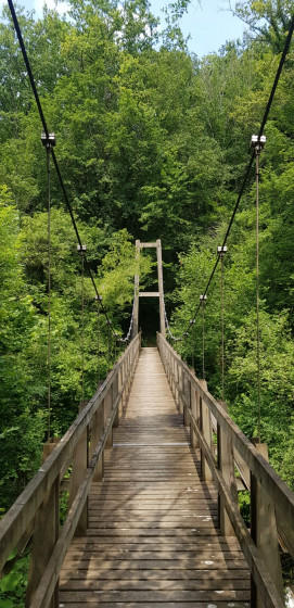 Le pont suspendu