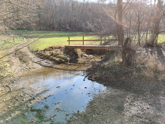 Pont de bois