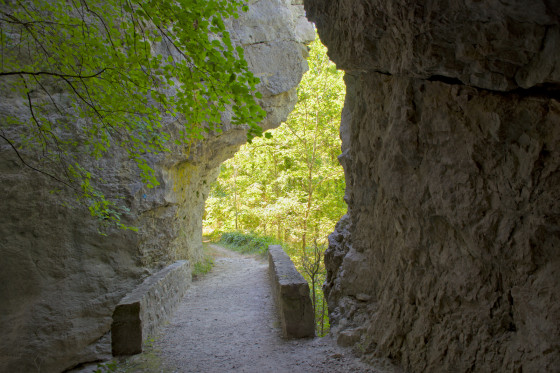 Le pont