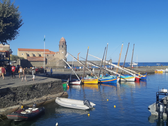 Le port de Collioure