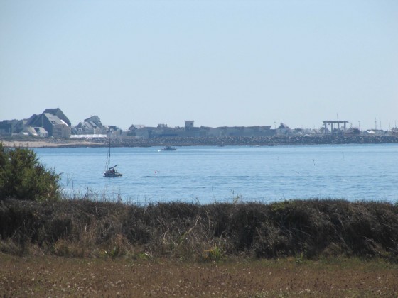 Le port de la Turballe
