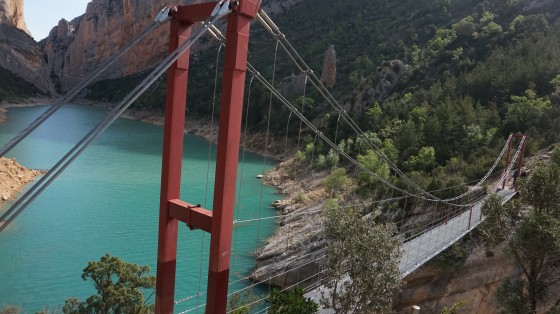 Le premier pont