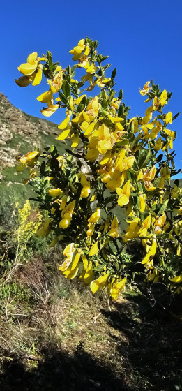Le printemps en approche