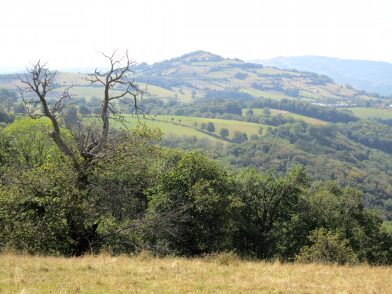 Le puech de Barry vu depuis le chemin
