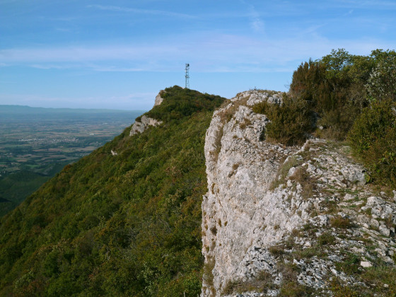 Le pyl&ocirc;ne