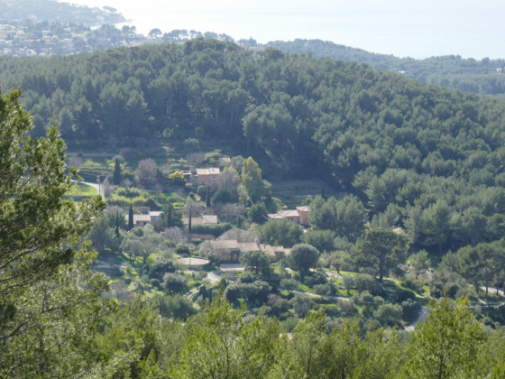Le quartier de la Piole