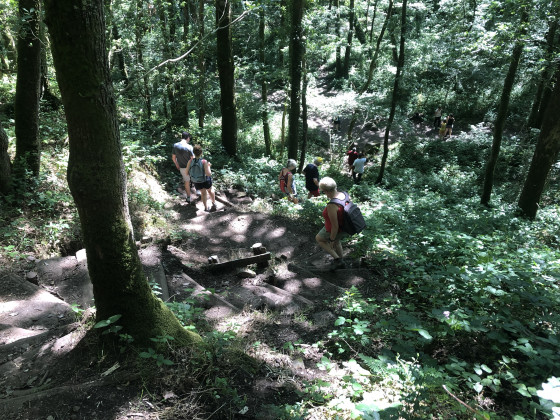 Le raidillon qui descend vers la Rouvre