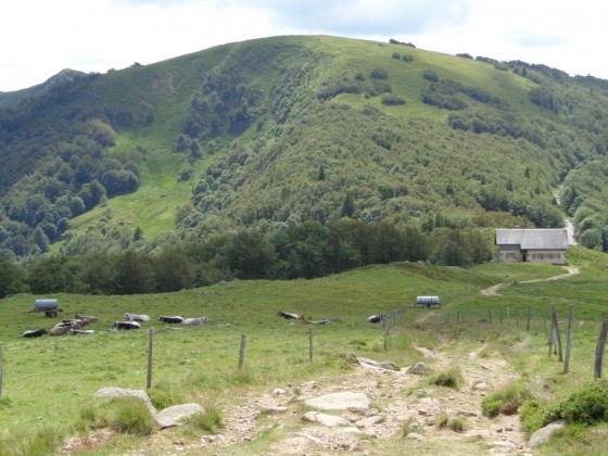 Le Rainkopf depuis la chaume du Firstmiss.