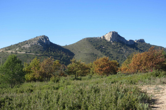 A faire : De Pichauris au Ratier, au pied du Mont Julien - Randonn&eacute;e