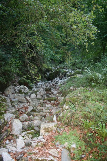 Le ravin de Bédeille