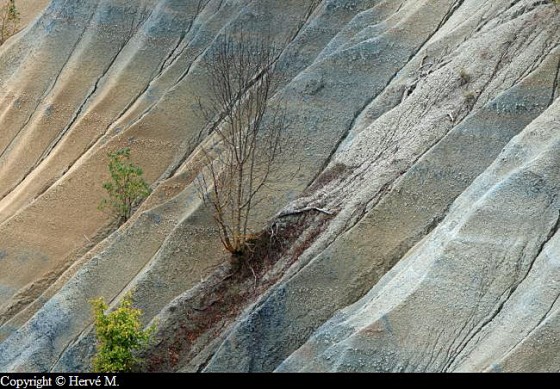 Le ravin de Corboeuf