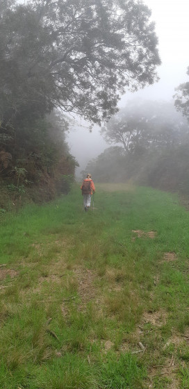 Le retour par la route forestière Omega