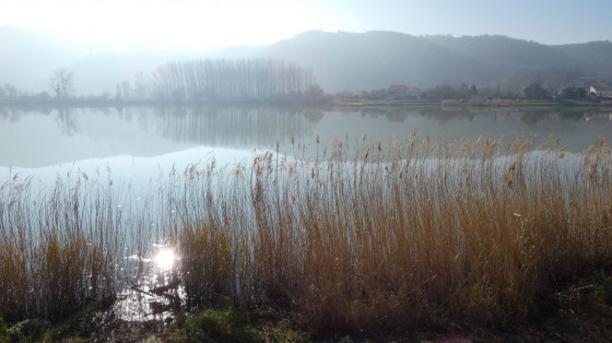 Le Rhône
