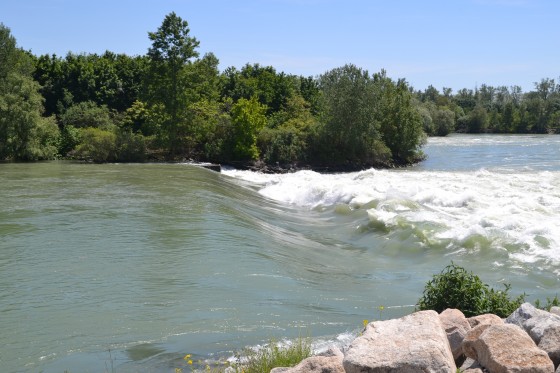 Randonnée au bord du Rhône